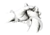 create a black and white hand drawn illustrations in ink