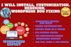 install, customization, redesign, wordpress bug fixing