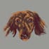 create your pet in pixel art