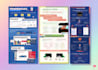 do a professional infographic design