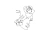 draw illustration with continuous line art 24 hours