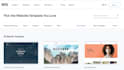 build professional wix website develop