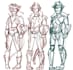 draw a character reference sheet