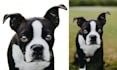 remove background from images and cutouts professionally