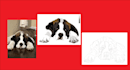 custom paint by number portraits for your pet dog cat rabbit and more
