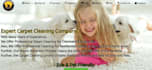 develop, design elementor, elementor pro website and fix elementor errors