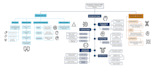 create colorful  mind or concept map within 24 hours