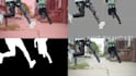 professional rotoscoping, green screen removal, roto paint