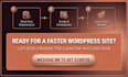 develop fast and responsive wordpress website