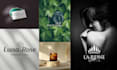 create a high end minimalist feminine logo design