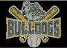 do embroidery digitizing into dst,pes, within few hours