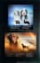 design litter announcement, stud ad, dog poster flyer