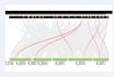 assist you in genome wide analysis