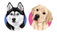 draw custom pet potrait illustration for you