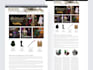 build responsive wordpress website with elementor, wordpress developer