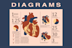 design highquality infographic or chart or diagram