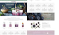do wordpress website development, design or redesign ecommerce website