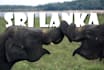 write articles about anything related to sri lanka