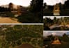 design your landscape or outdoor environment, 3d modeling, image rendering