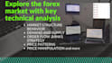 teach you a system to be profitable in forex or day trading