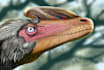 draw a prehistoric creature
