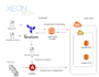 provide premium devops solutions