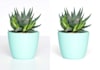 provide background removal service