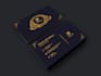 design professional and luxury business card