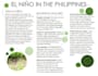 turn your idea to a any infographic design using adobe illustrator