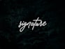 design handwritten signature logo