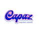 design realistic chic inspiring logo with creative concepts