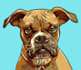 trace your photo into high resolution vector style