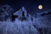 paint a realistic digital landscape illustration