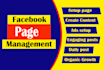 do community management and be your facebook group or page admin