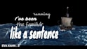 create animated lyric video