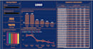 create visually stunning and interactive power bi dashboard to fit your needs