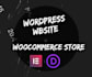 provide professional wordpress website and woocommerce store