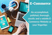 design a soluble ecommerce website appealing to customers