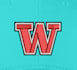 do awesome puff 3d embroidery digitizing in few hours