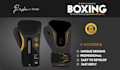do professional boxing gloves designs