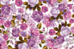 design floral seamless patterns and  textile prints