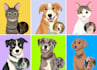draw your pet portrait in a disney style cartoon illustration