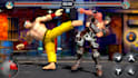 make full unity fighting game along with customisation