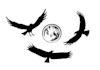 design a meaningful professional eagle logo in 24 hours