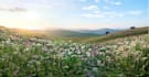 create digital photo realistic matte painting 3d environment