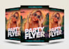 design event poster, business flyer, party flyer and facebook post