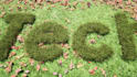 do cinematic eco friendly nature 3d rendering animation intro video from logo