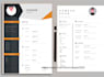 professional resume writing, cv writing, edit, rewrite