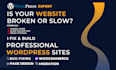 do wordpress website maintenance and fix your wordpress
