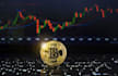 develop custom binance trading bot for you